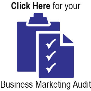 MarketBlazer Business Marketing Strategy Audit